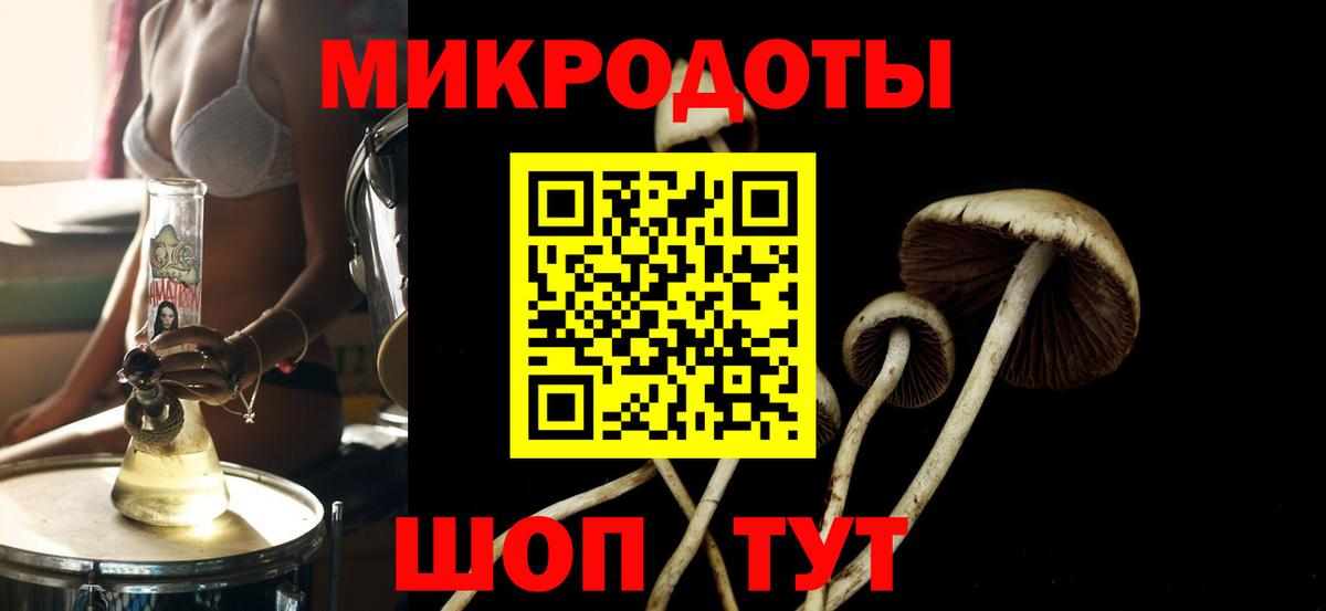 Галлюциногенные грибы Psilocybe  Вход с VPN  Кашира 