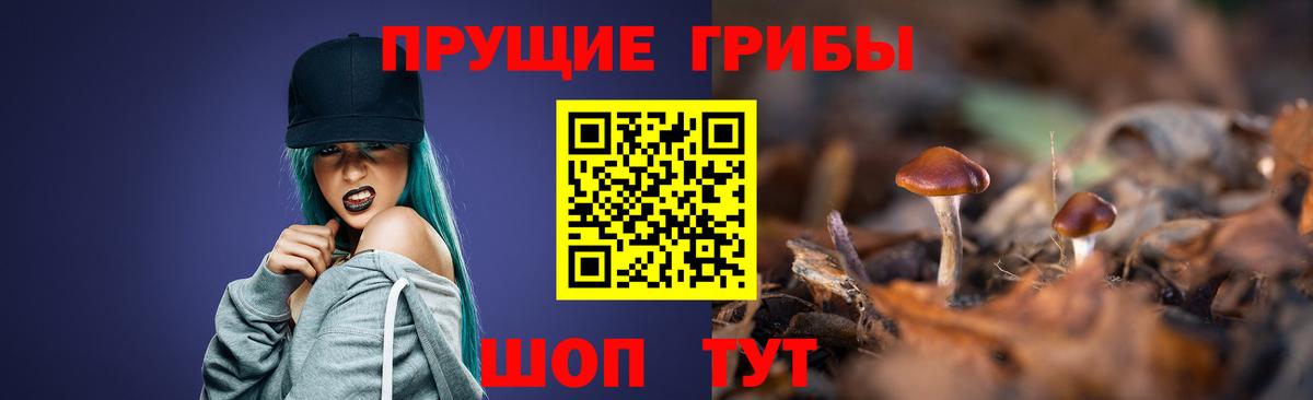 Галлюциногенные грибы Psilocybine cubensis Кашира